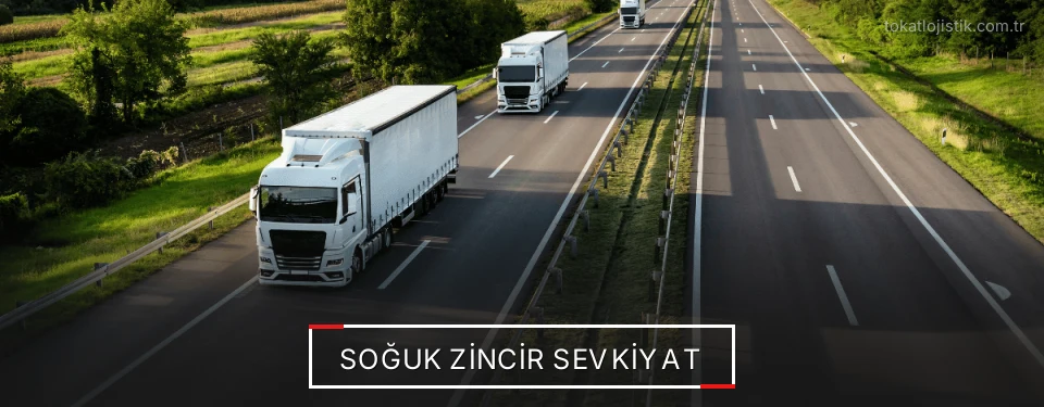 Tokat Frigo Taşımacılık Firmaları Tokat Frigo Taşımacılık Firmaları